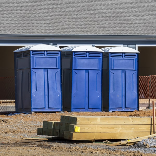 can i customize the exterior of the porta potties with my event logo or branding in Mount Morris